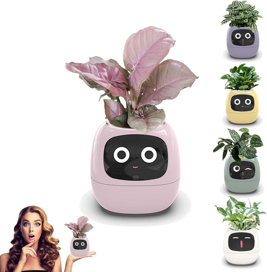 Self Watering Smart Planter Indoor – Automatic Plant Pot with Water Reservoir | The Vellure