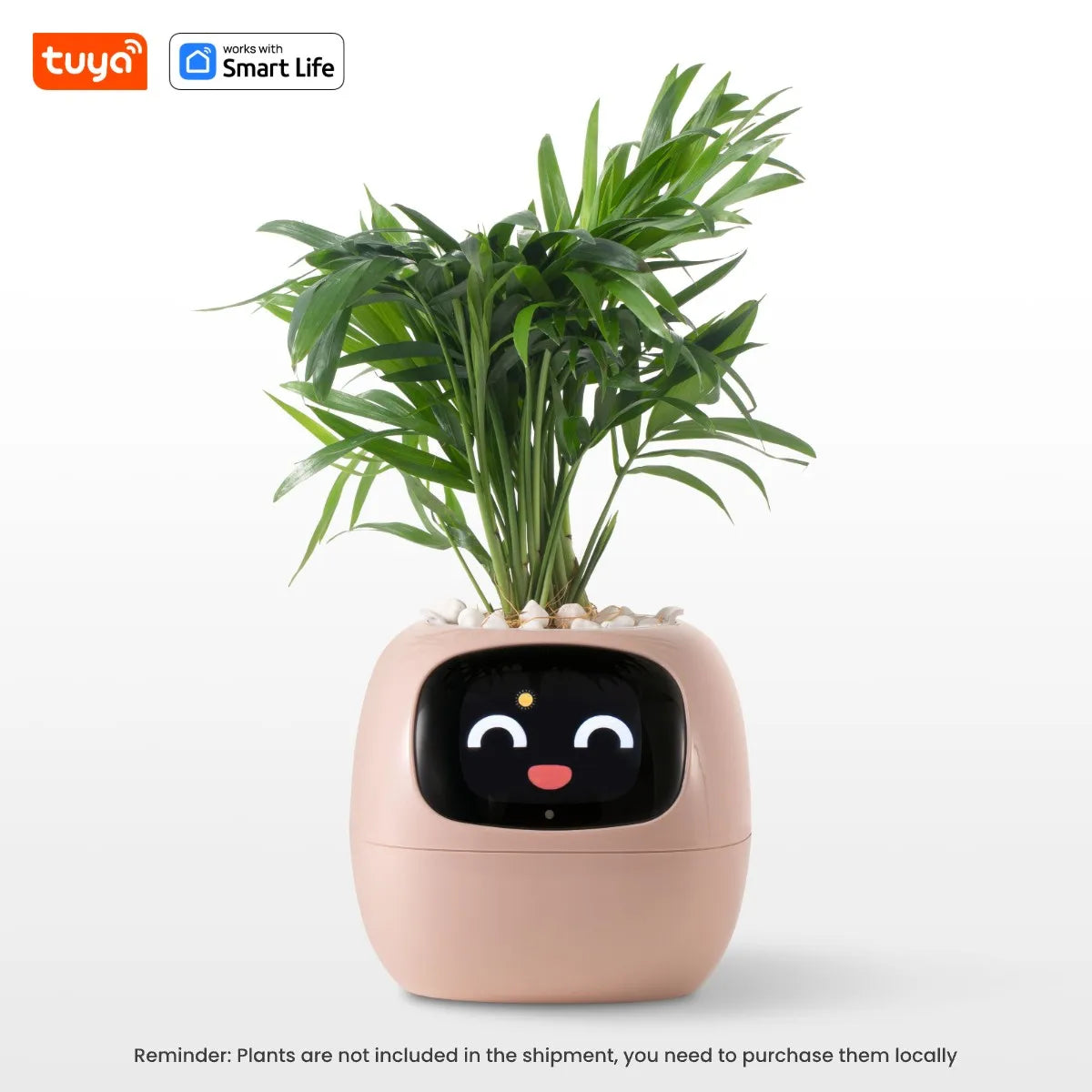 Self Watering Smart Planter Indoor – Automatic Plant Pot with Water Reservoir | The Vellure