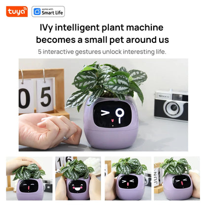Self Watering Smart Planter Indoor – Automatic Plant Pot with Water Reservoir | The Vellure