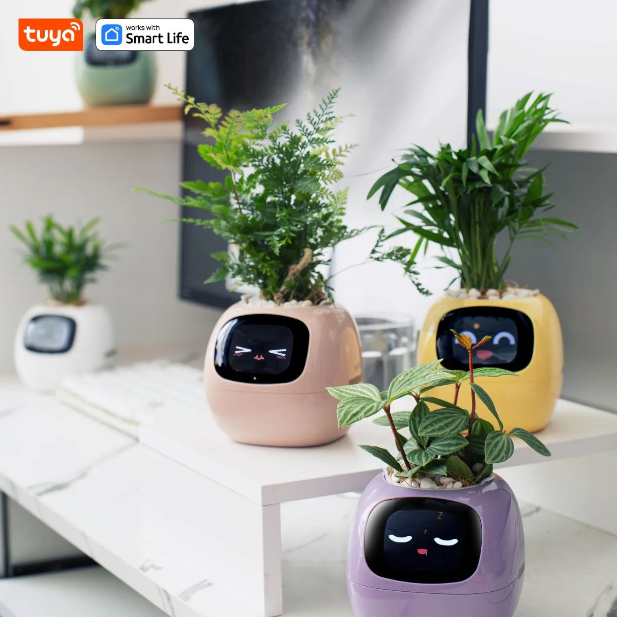Self Watering Smart Planter Indoor – Automatic Plant Pot with Water Reservoir | The Vellure
