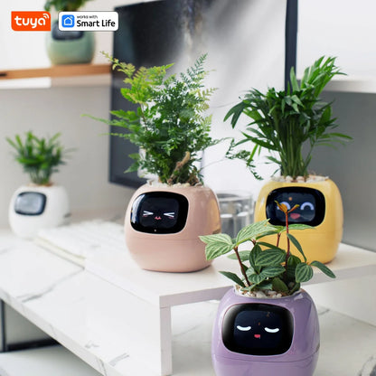 Self Watering Smart Planter Indoor – Automatic Plant Pot with Water Reservoir | The Vellure