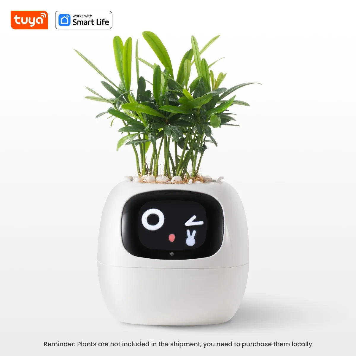 Self Watering Smart Planter Indoor – Automatic Plant Pot with Water Reservoir | The Vellure