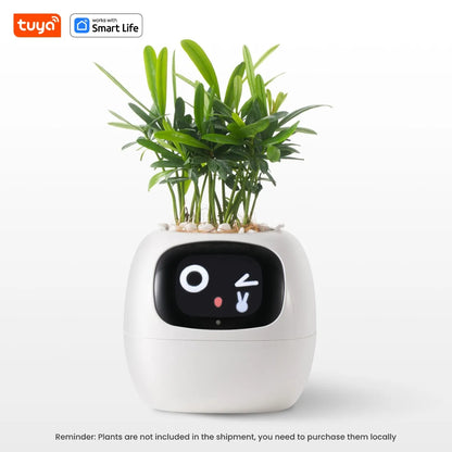 Self Watering Smart Planter Indoor – Automatic Plant Pot with Water Reservoir | The Vellure