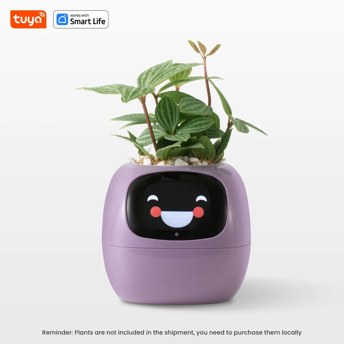 Self Watering Smart Planter Indoor – Automatic Plant Pot with Water Reservoir | The Vellure