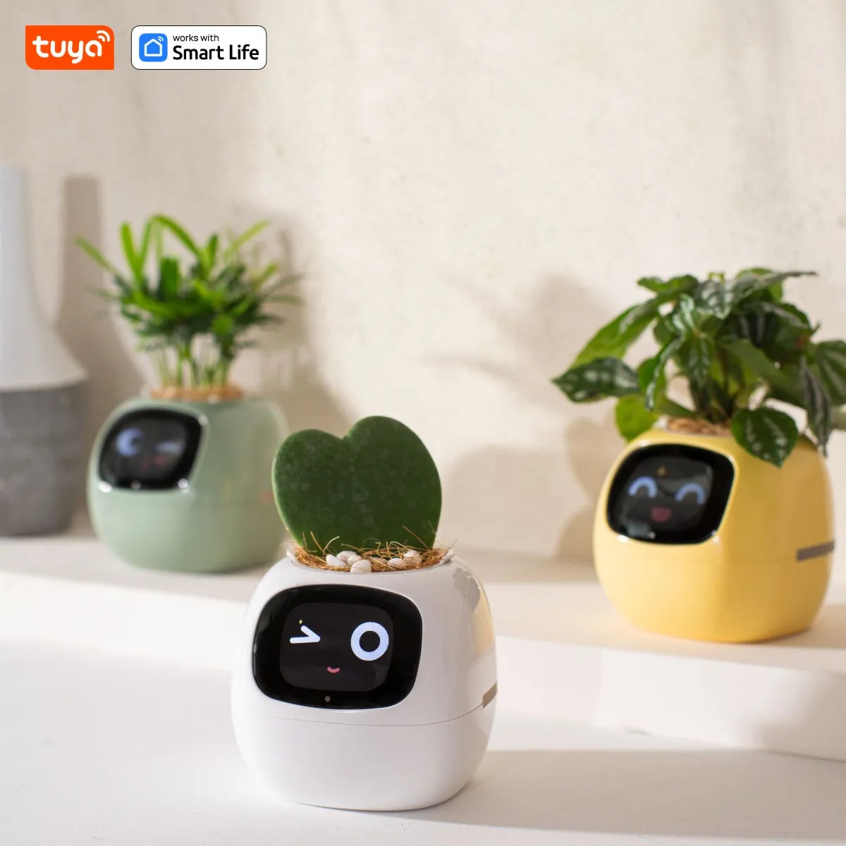 Self Watering Smart Planter Indoor – Automatic Plant Pot with Water Reservoir | The Vellure