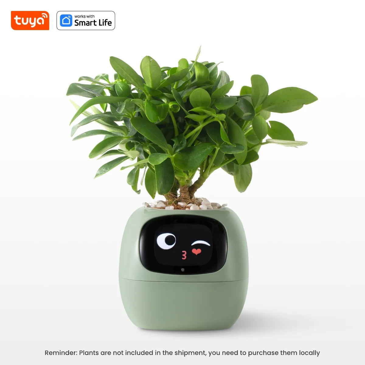 Self Watering Smart Planter Indoor – Automatic Plant Pot with Water Reservoir | The Vellure
