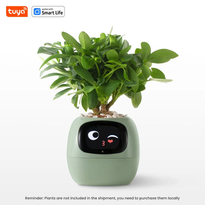 Self Watering Smart Planter Indoor – Automatic Plant Pot with Water Reservoir | The Vellure