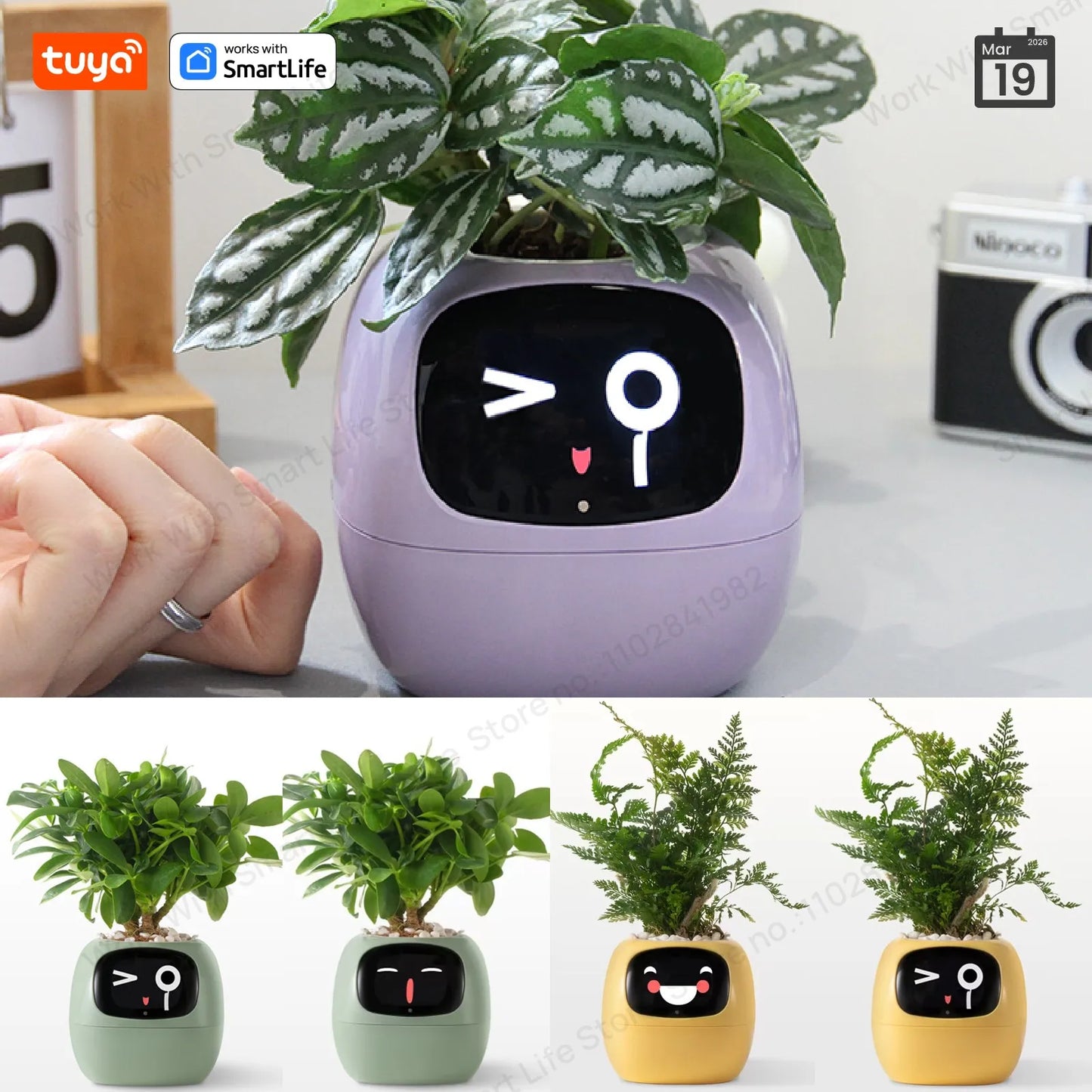 Self Watering Smart Planter Indoor – Automatic Plant Pot with Water Reservoir | The Vellure